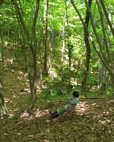 活動写真