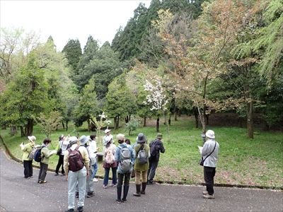 活動写真