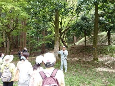 活動写真