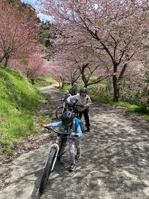活動写真