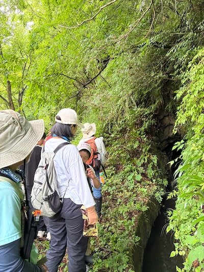活動写真
