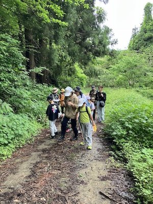 活動写真