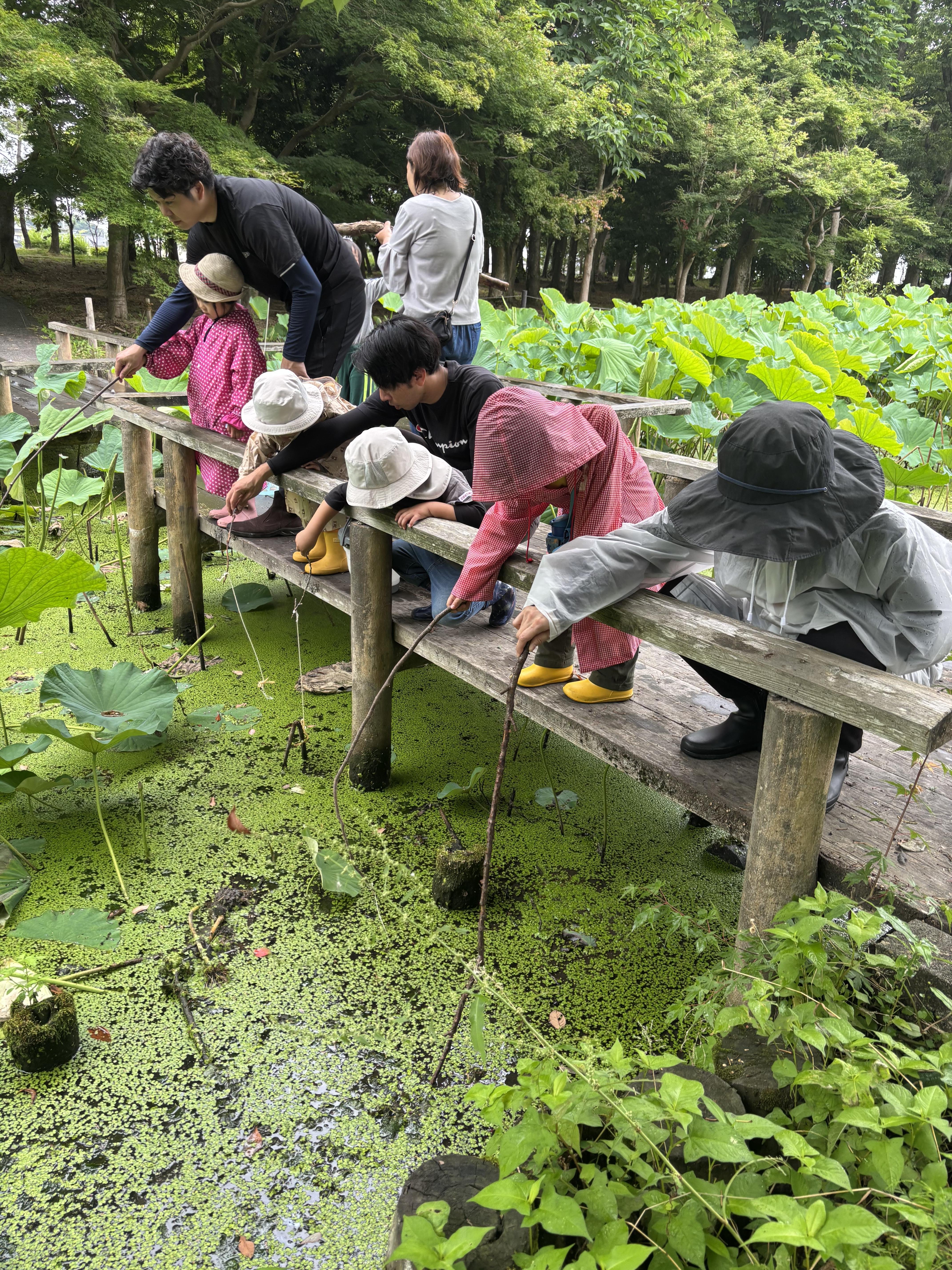 活動写真