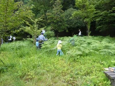 活動写真