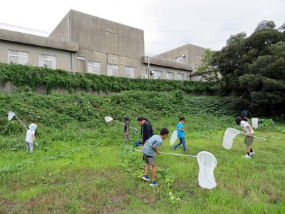 r写真1_自然史資料館_カマキリやバッタの標本をつくろうR6.jpg