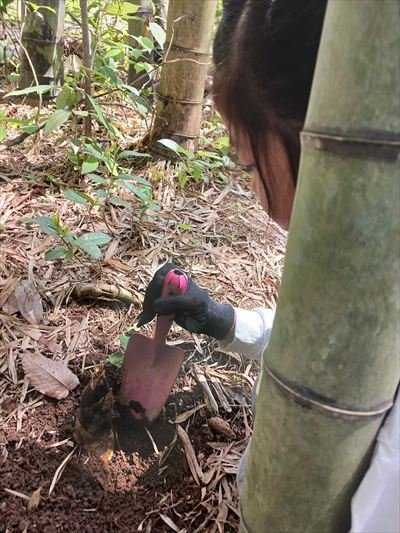 20250426_112050 - 木場潟公園東園地_R.jpg