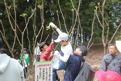 IMG_3843_R.JPG