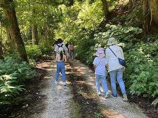 IMG_5960.jpg