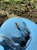 IMG_6092.jpg