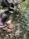 IMG_6094.jpg