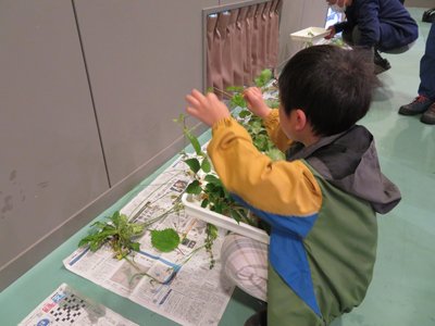 IMG_7823r.jpg
