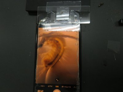 IMG_7989r.jpg