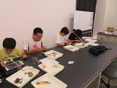 IMG_7995r.jpg