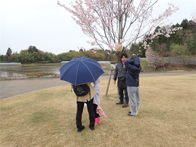 野草観察会.PNG