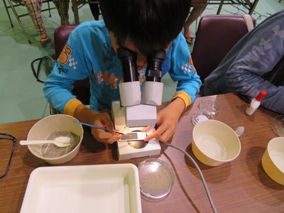 写真１r.jpg